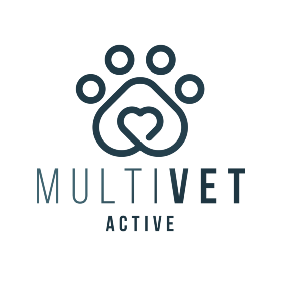 BIEŻNIA WODNA DLA PSÓW